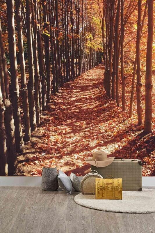 AUTUMN FOREST MURAL WALLPAPER 4$/ SQ FT