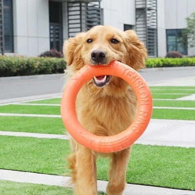 Dog Flying Ring Toy Interactive Training Hoop Pet Flying Disk Aggressive Chewer