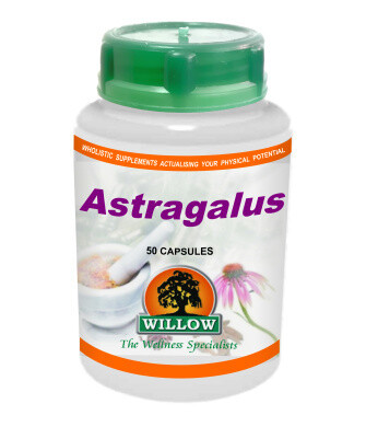 Willow Astragalus 50 cap