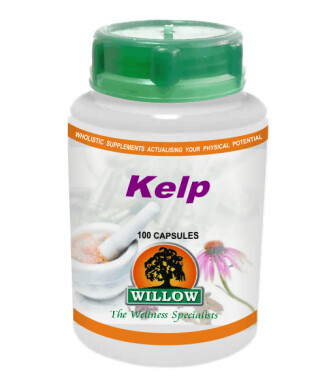 Willow Kelp 100 cap