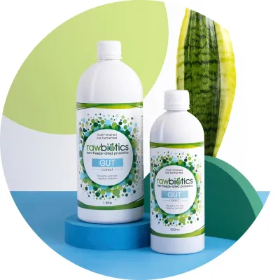 Rawbiotics Gut 500ml