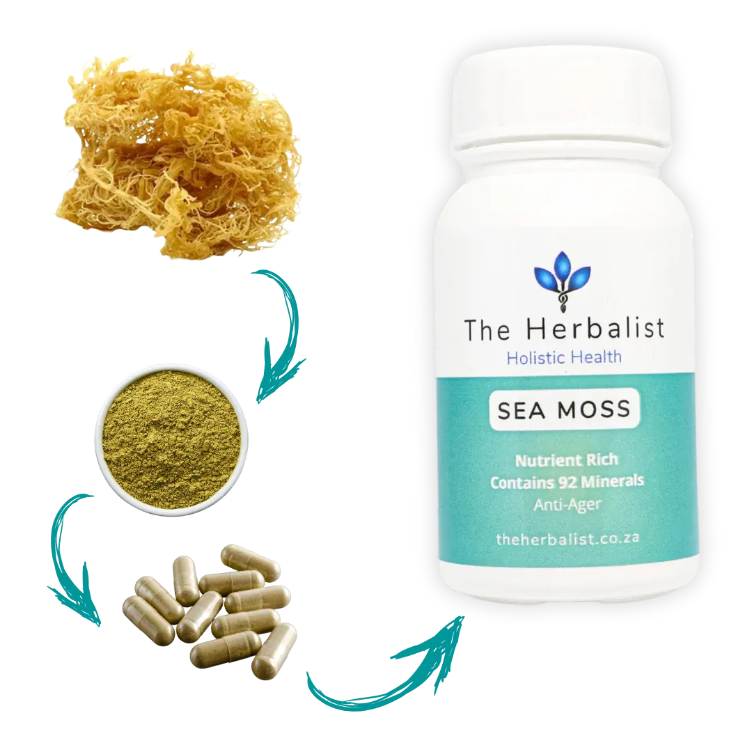The Herbalist Sea Moss Capsules South Africa | Natural Energy, Immunity &amp; Minerals | Health Basket
