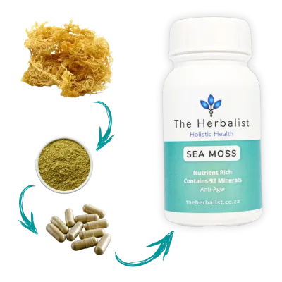 The Herbalist Sea Moss Capsules South Africa | Natural Energy, Immunity &amp; Minerals | Health Basket