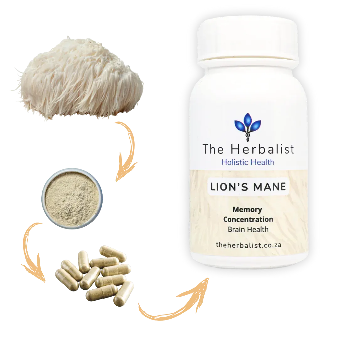 The Herbalist Lion’s Mane Capsules South Africa | Brain, Memory &amp; Focus Support | Health Basket