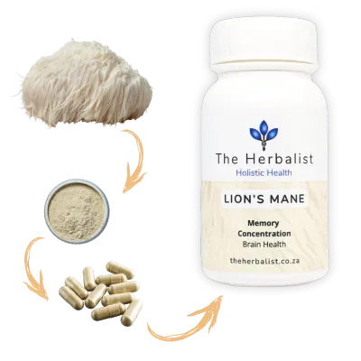 The Herbalist Lion’s Mane Capsules South Africa | Brain, Memory &amp; Focus Support | Health Basket