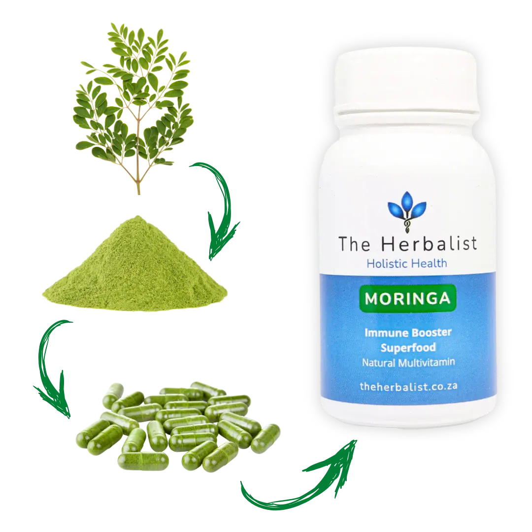 The Herbalist Moringa Capsules South Africa | Natural Energy &amp; Immune Support | Health Basket