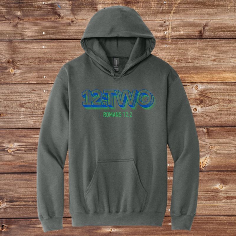 12:TWO Gildan Hoodie