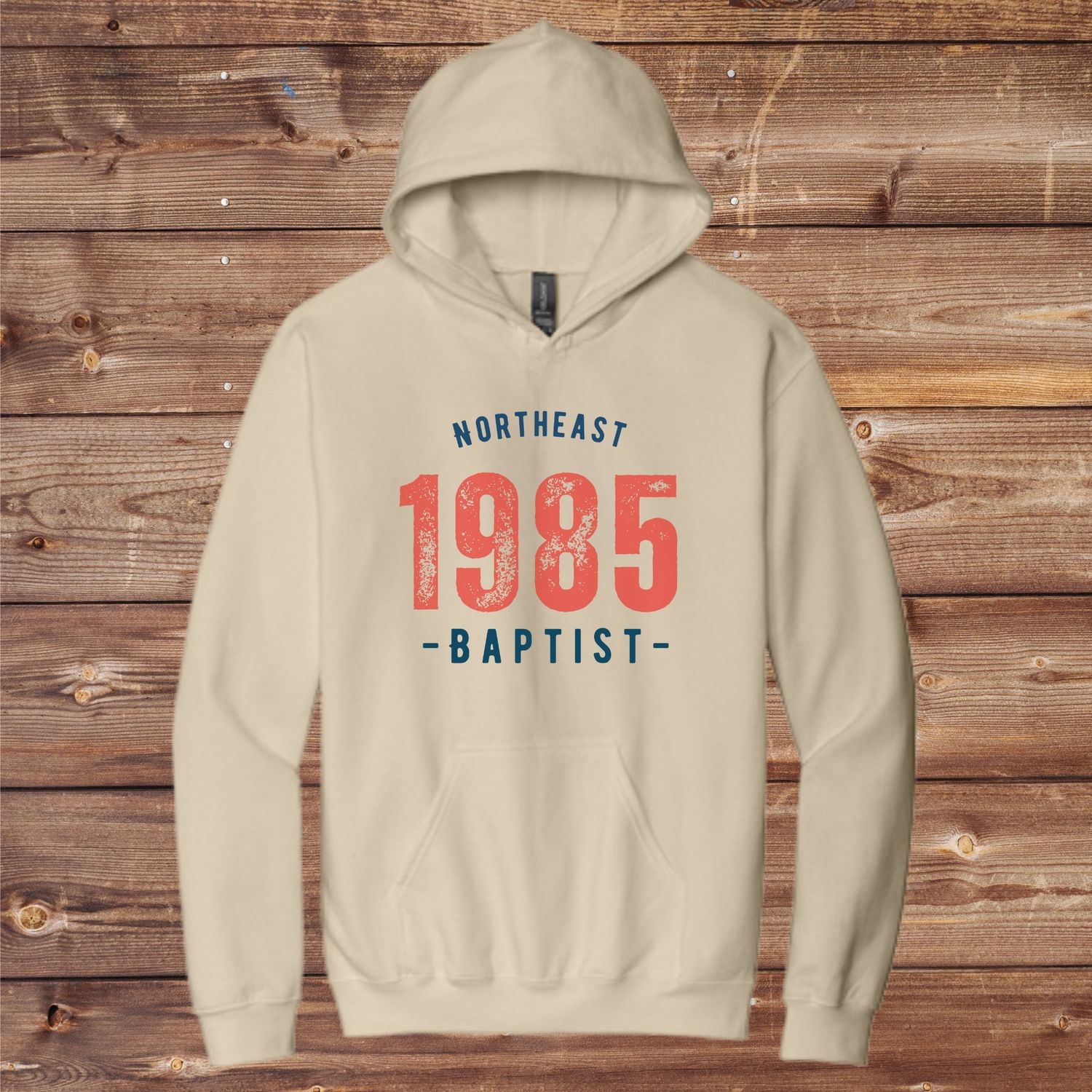 1985 Gildan Hoodie