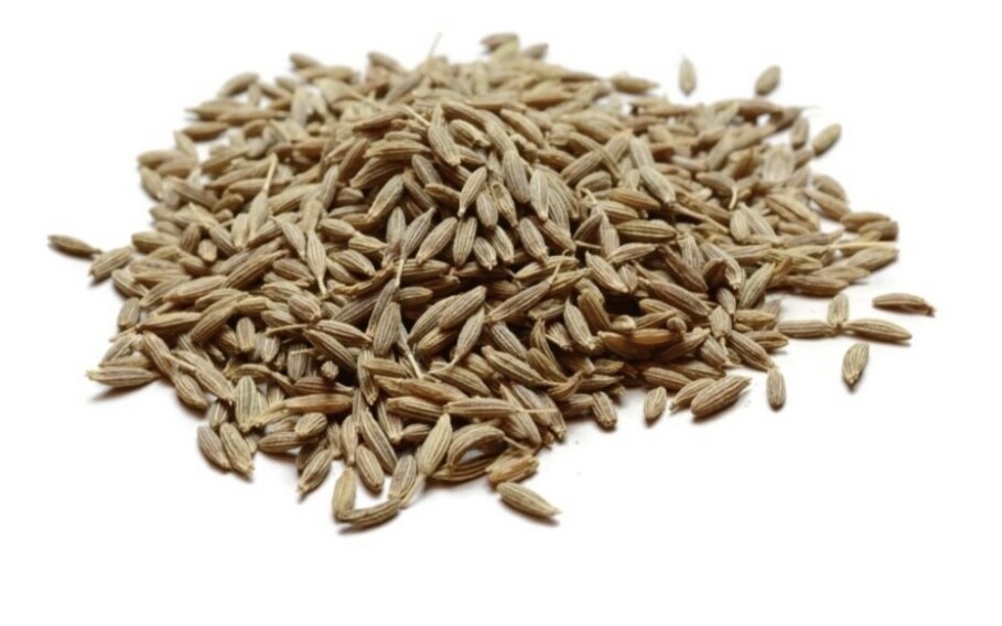 Cumin seed