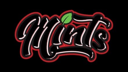 Mints Salt Nic 30ml