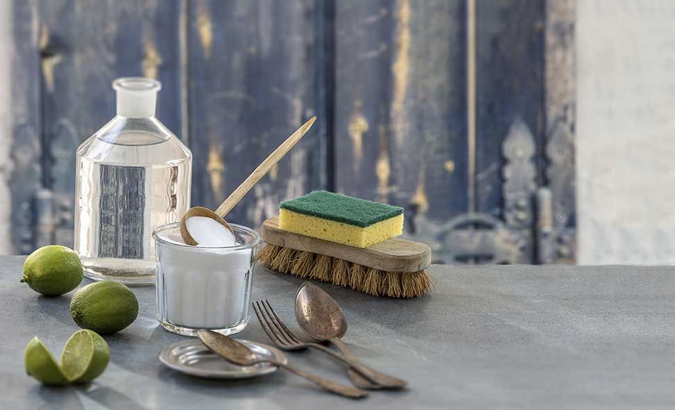 Entretien du domicile dans le respect du bénéficiaire et des règles d'hygiène et développement durable
