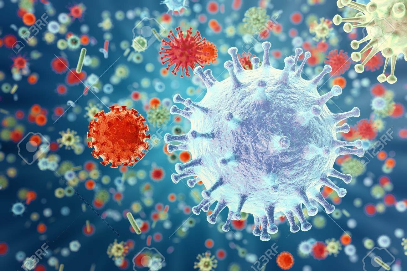 Intervenir à domicile - Risque biologique et conduite à tenir Intervenir à domicile - Risque biologique et conduite à tenir