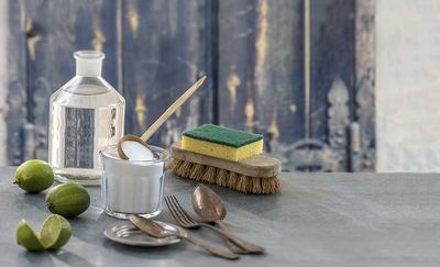 Entretien du domicile dans le respect du bénéficiaire et des règles d'hygiène et développement durable