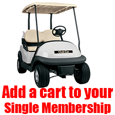 Unlimited Cart for Single Card Holder Unlimited Cart for Single Card Holder