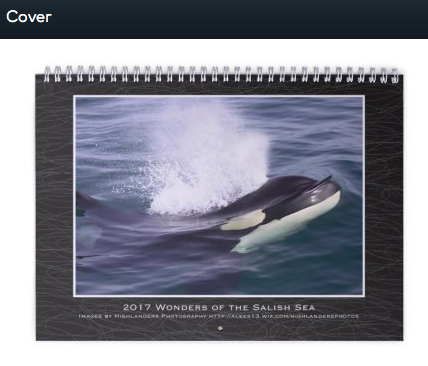 2017 Calendar