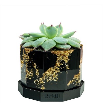 Aztec Gold | Succulent Pot