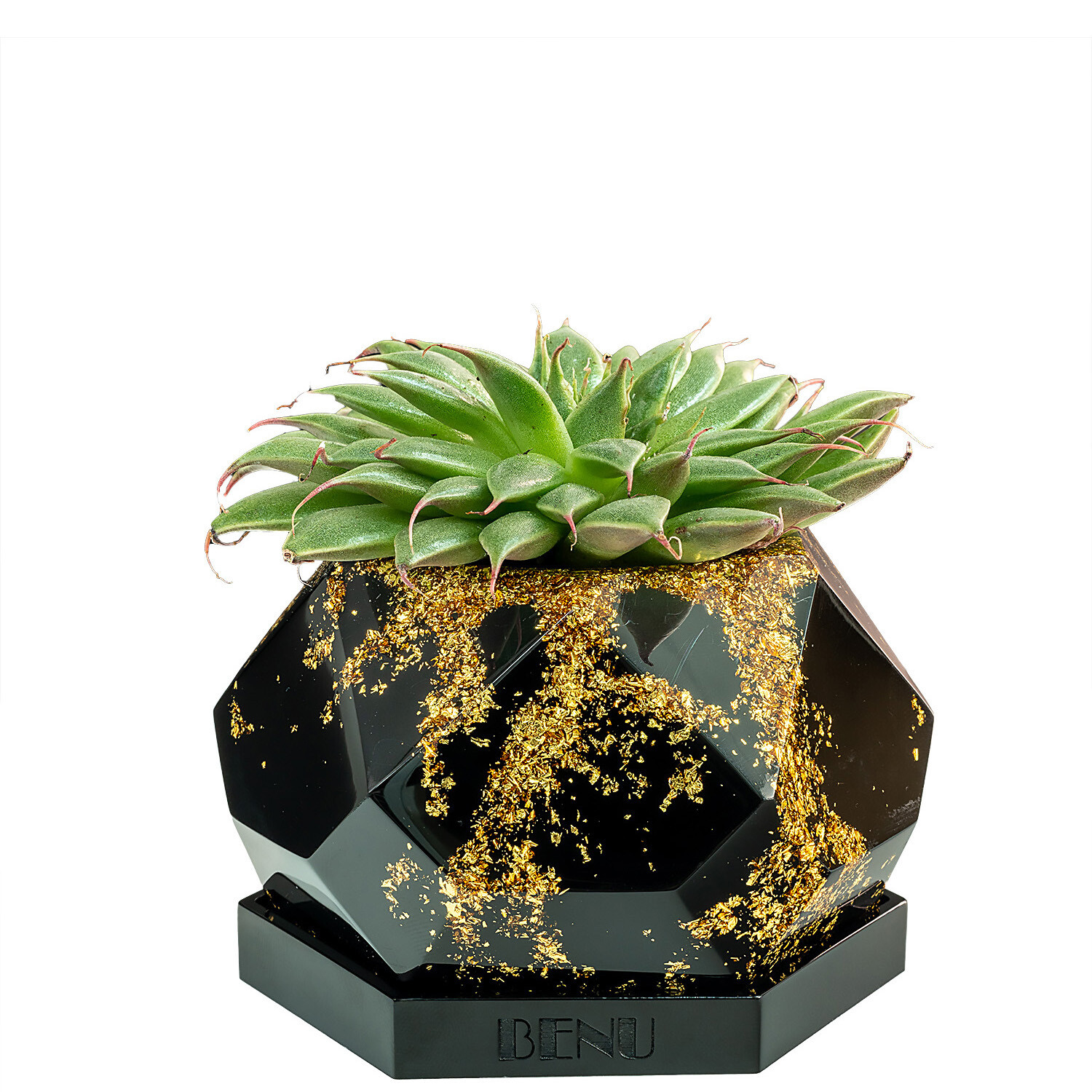 Aztec Gold | Succulent Pot