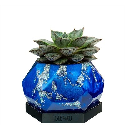 Nautica | Succulent Pot Nautica | Succulent Pot
