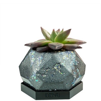 Stardust | Succulent Pot