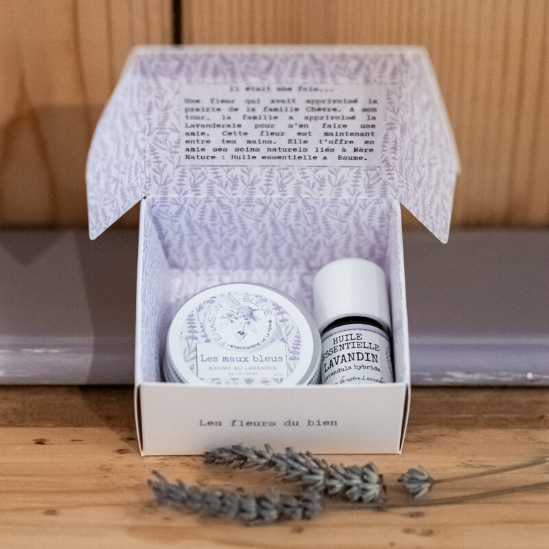 La mini boîte à Fleur Bleue