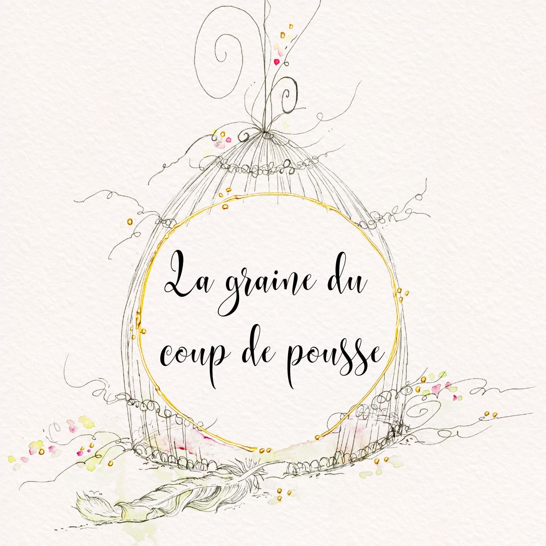 Graine "coup de pousse"