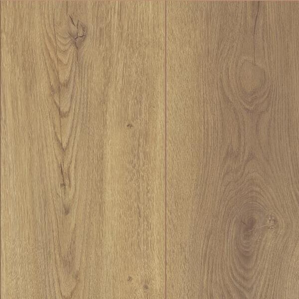 Noblesse Wide - Lucerne Oak