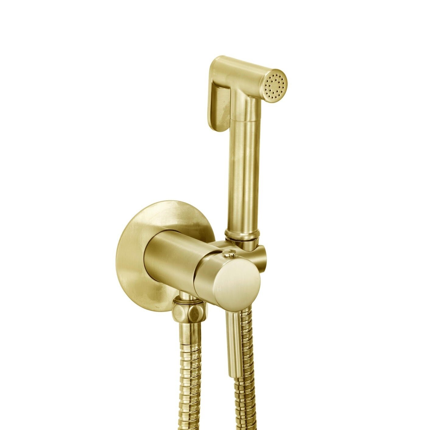 Douche Handset, Flexi, Holder &amp; Outlet Elbow Brushed Brass
