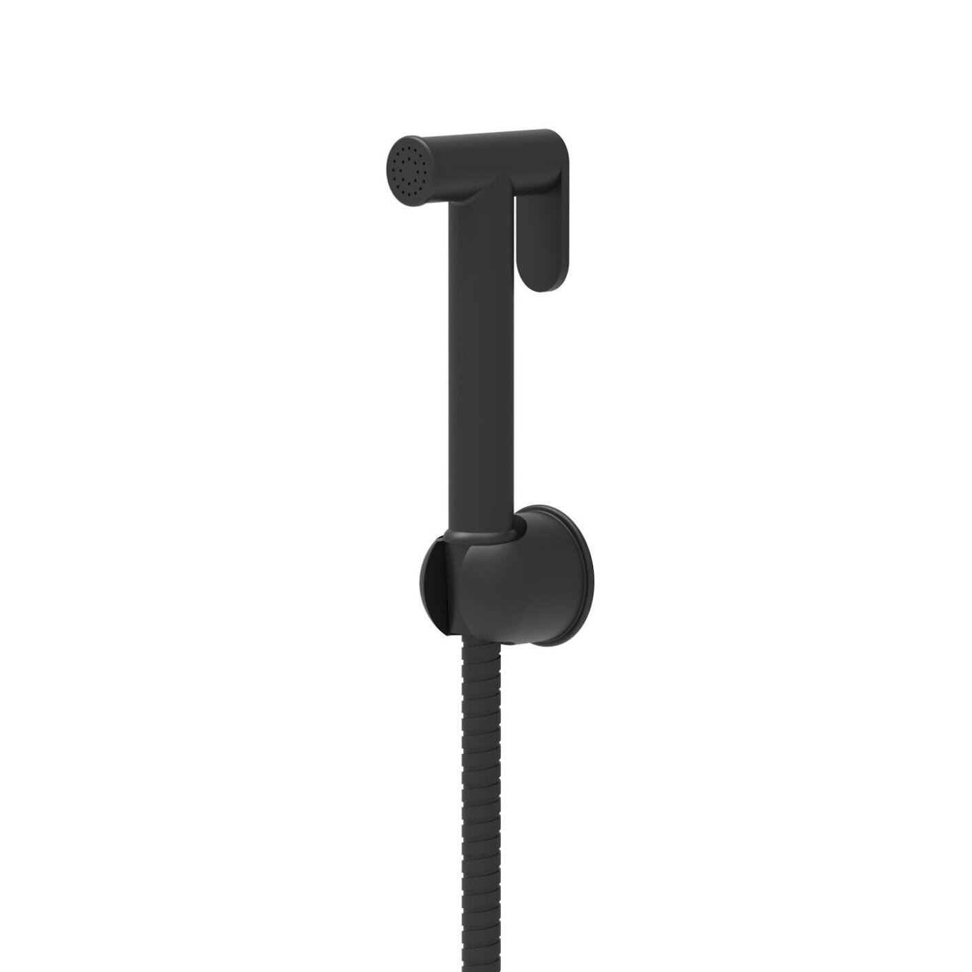 Douche Handset, Flexi &amp; Holder Matt Black