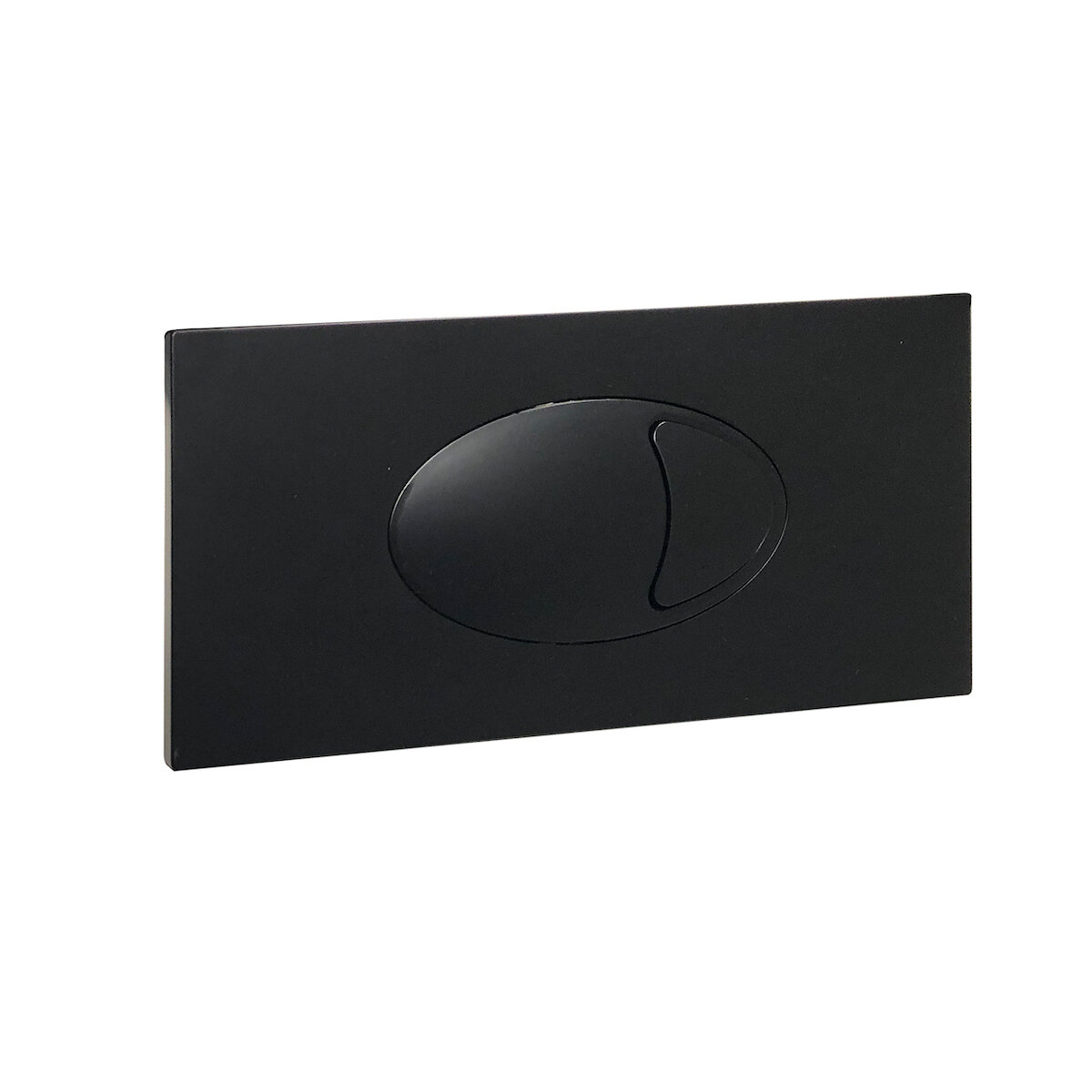 Large Black Dual Flush Plate &amp; Access Panel