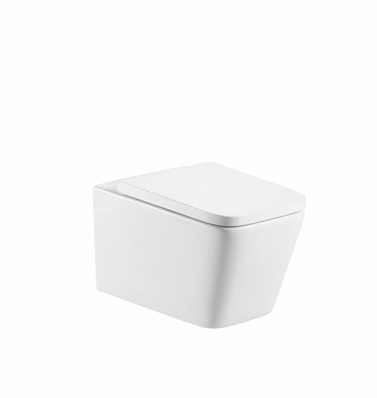 Milan Rimless Wall Hung Square Pan, Seat &amp; Wall Fixings
