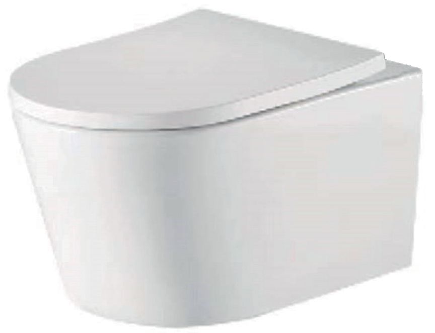 Ferrara Plus Wall Hung Rimless BTW D Shape Pan Seat &amp; Fittings