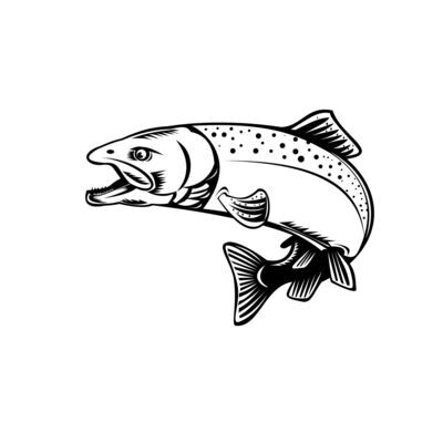 COUTEAU A POISSON