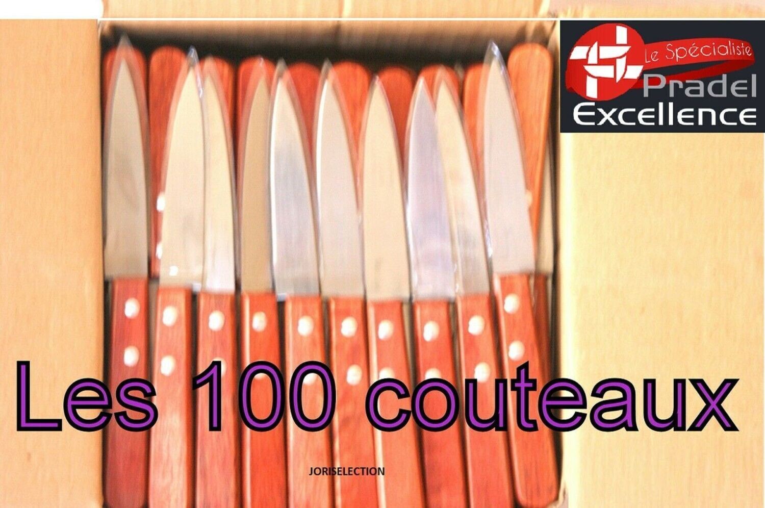 Pradel excellence couteau à steak lot de 100 couteaux - 3045