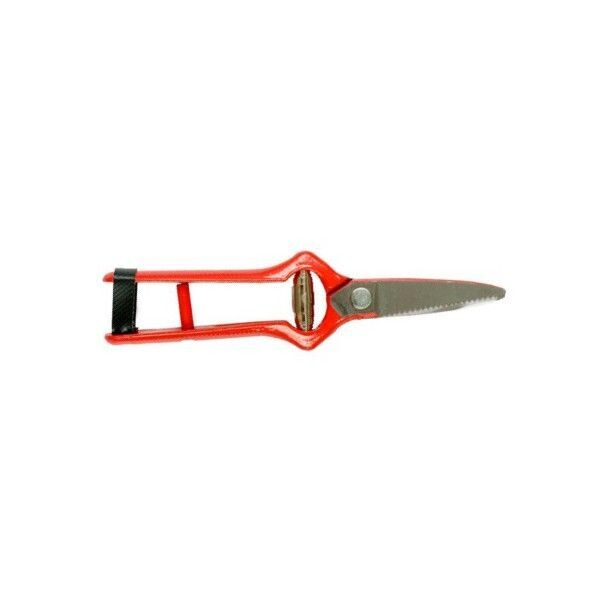 SECATEUR VENDANGE FORGE 19 CM RÉF 02A19V