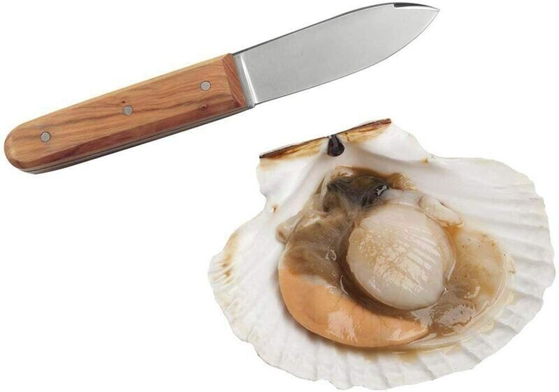 Couteau coquilles saint-jacques COUTEAU FRUITS DE MER SAINT JACQUES C 9304