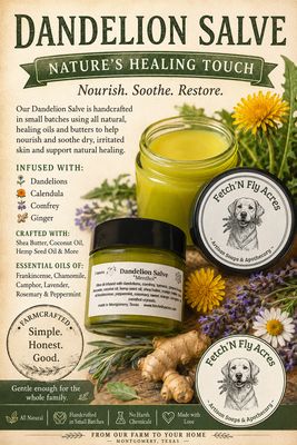 Dandelion Salve