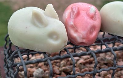 Sunny The Bunny Artisan Soap