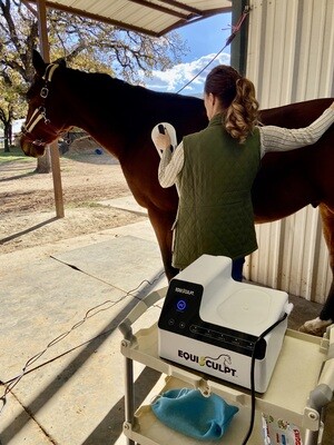 The EZ Model PEMF Paddle &amp; Chair