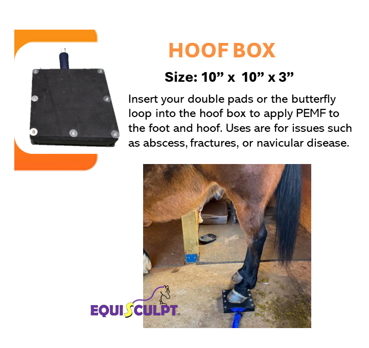 EVO Hoof Box