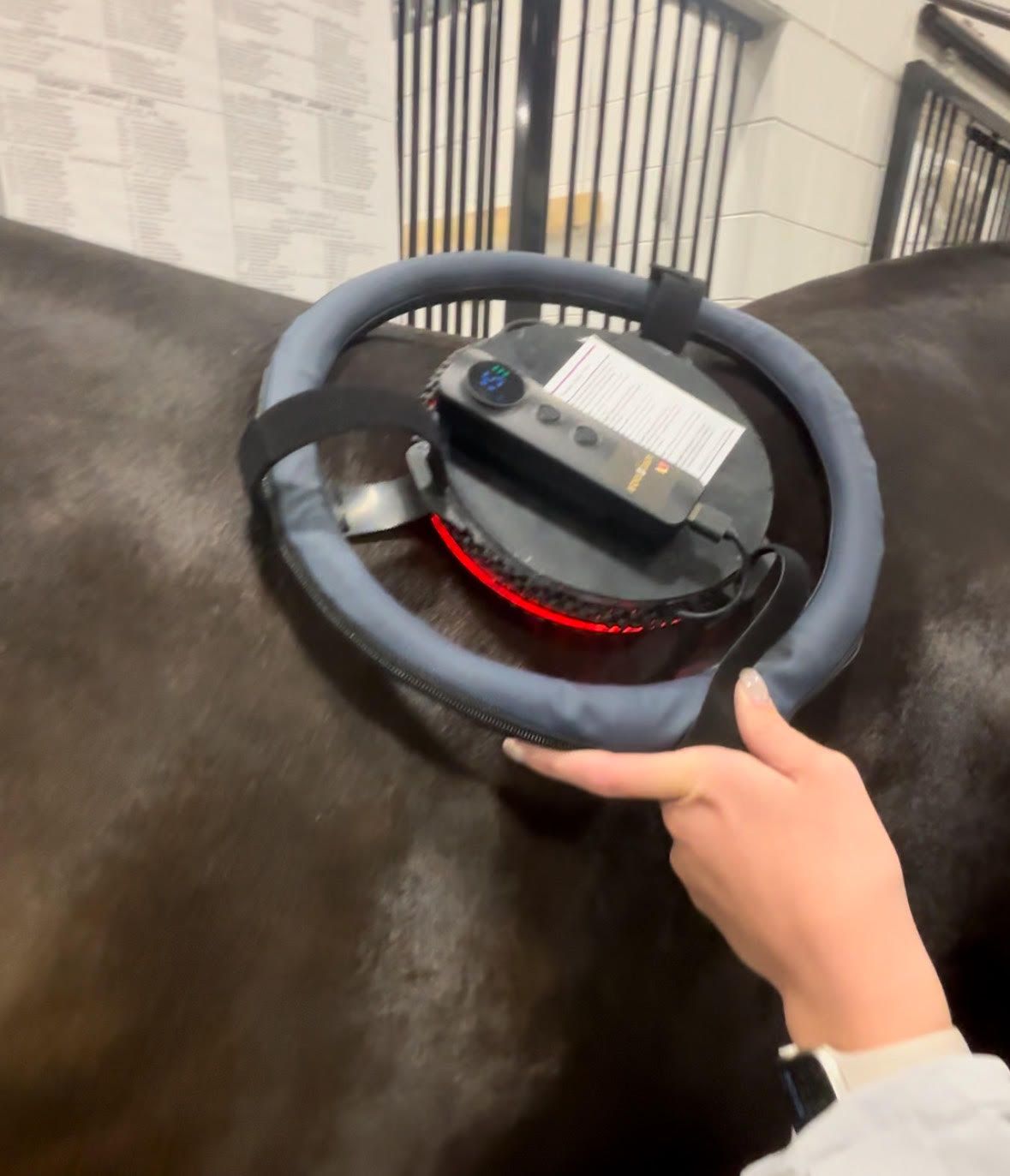 EquiSculpt Infrared Light Therapy