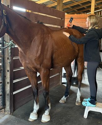 The VIBE Electro Magnetic Shockwave