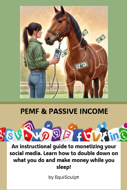 PEMF AND PASSIVE INCOME e book