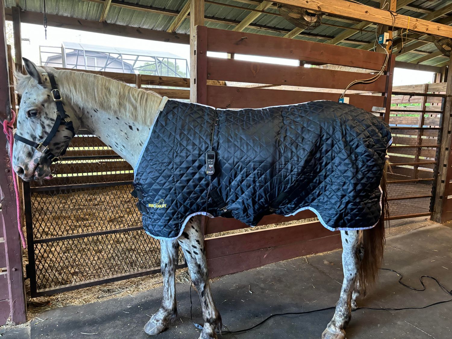*NEW* The ELITE PEMF Blanket for Horses &amp; Ponies