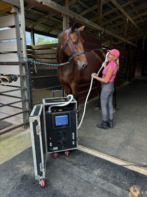The PRO PEMF Paddle + Infrared Wand