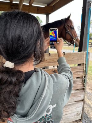 Thermal Camera for Equine Imaging