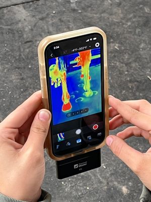 Thermal Camera for Equine Imaging