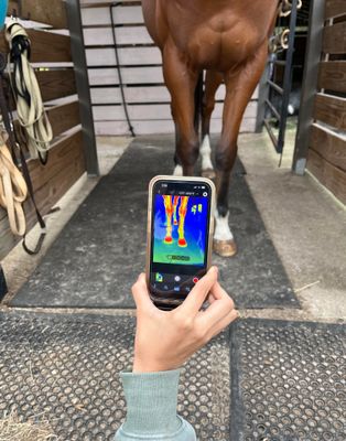 Thermal Camera for Equine Imaging