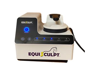 The EZ Model PEMF Paddle &amp; Chair