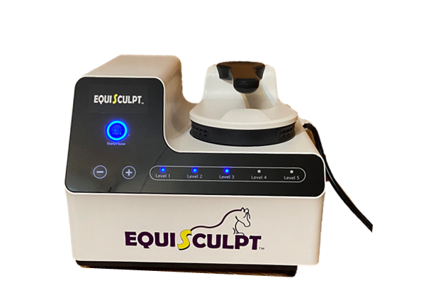 The EZ Model PEMF Paddle &amp; Chair