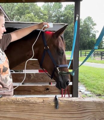 The PRO PEMF Paddle + Infrared Wand